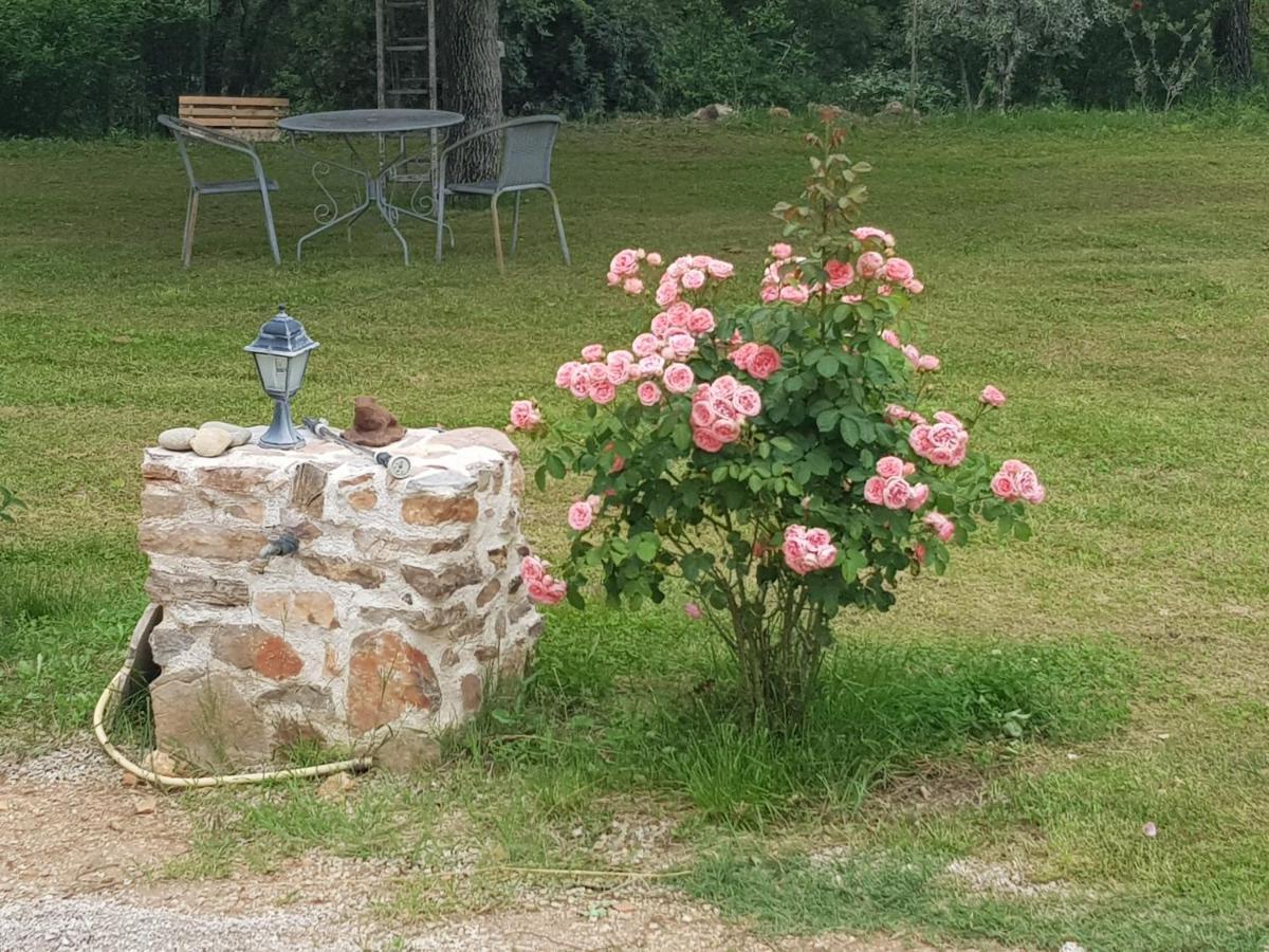 Le Jardin Des Selves Bed & Breakfast Draguignan Dış mekan fotoğraf
